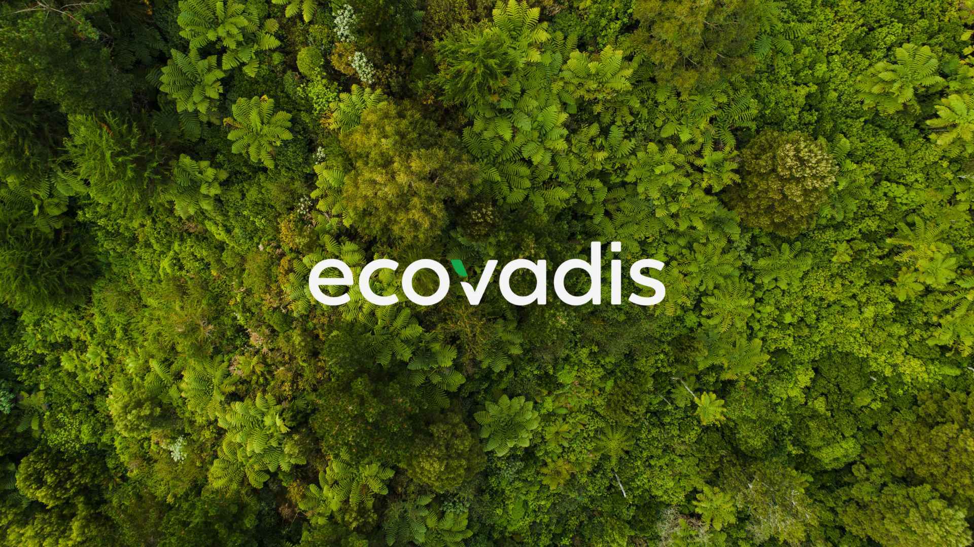 Ecovadis_DOMINION_2